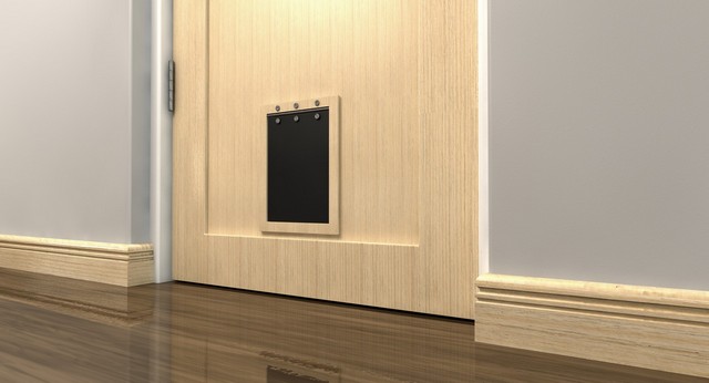 Cat Flap Installation Purfleet, RM19