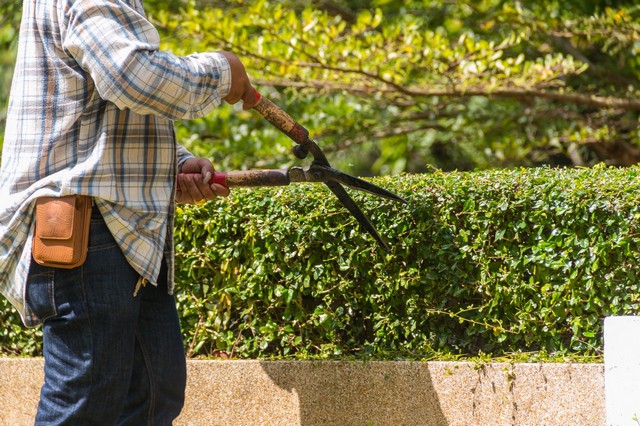 Garden Maintenance Purfleet, RM19