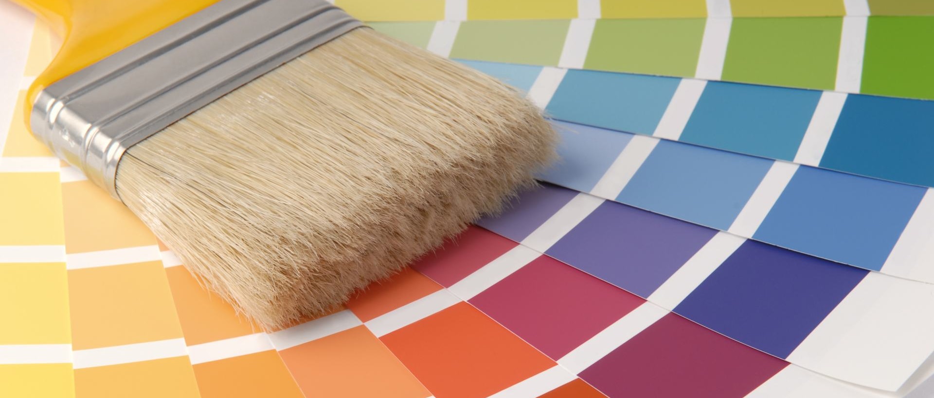 Painter RM19